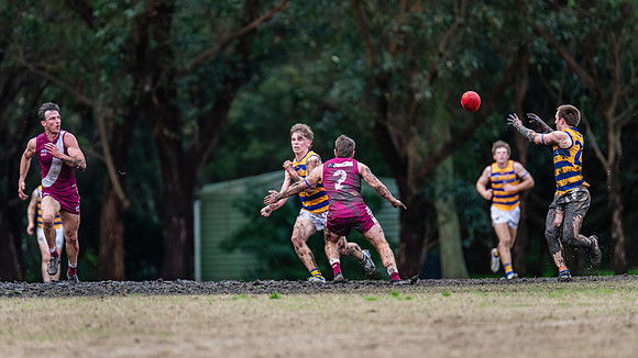 Rd 17 MPD - Manly Warringah v Sydney Uni - 16 August 2025