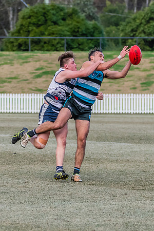 Platinum Div Preliminary Final - Southern Power v Camden Cats -