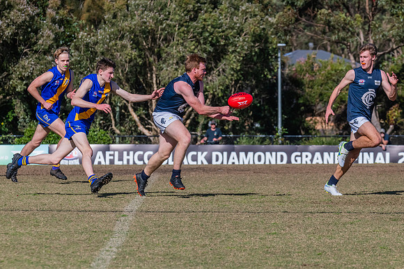 Black Diamond Plate Men's Nelson Bay v Newcastle City - 17 Septe