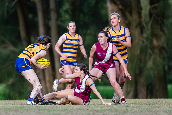 Rd 17 WPD - Manly Warringah v Sydney Uni - 16 August 2025
