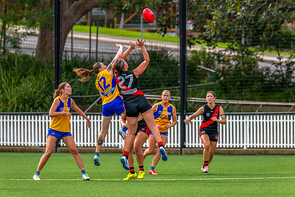 Rd 4 WPD - North Shore v East Coast - 26 April 2025