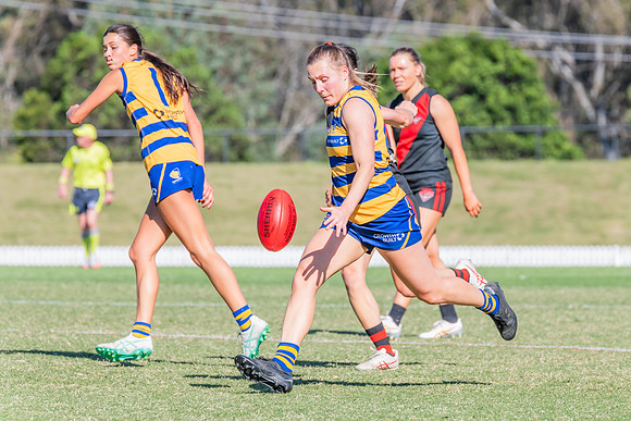 WPD Elimination Final - North Shore v Sydney Uni - 1 September 2