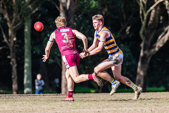 Rd 17 MPD - Manly Warringah v Sydney Uni - 16 August 2025
