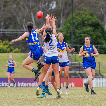WPD Semi Final - Parramatta v Sydney Uni - 8 September 2024