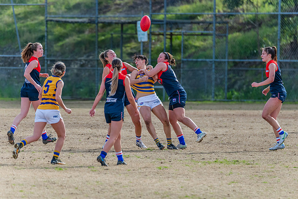 Rd 14 WPD - Pennant Hills v Sydney Uni - 16 July 2022