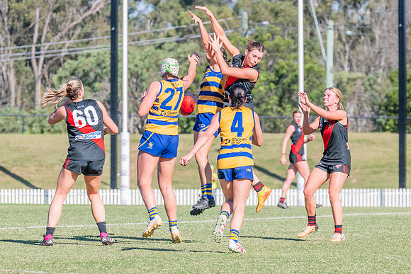 WPD Elimination Final - North Shore v Sydney Uni - 1 September 2