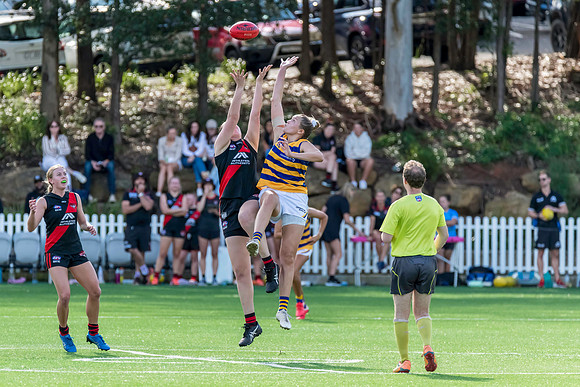 Rd 3 WPD - North Shore v Sydney Uni - 23 April 2022