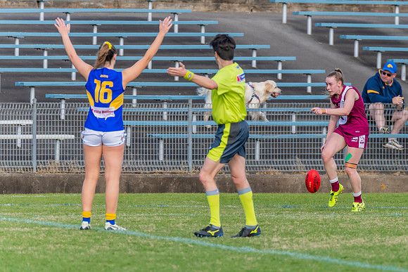 WPD Major Semi Final - East Coast v Manly Warringah - 14 August 2022