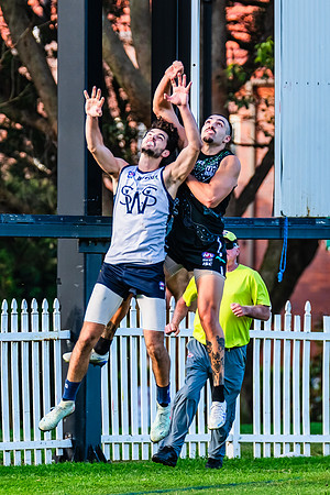 Rd 8 MPD - UTS v SWS - 31 May 2025