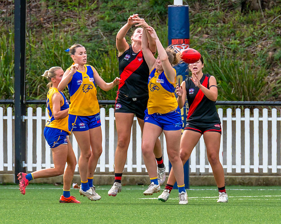 Rd 4 WPD - North Shore v East Coast - 26 April 2025