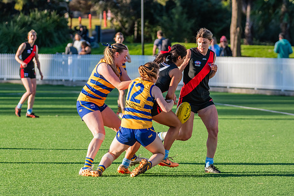 Rd 15 WPD - North Shore v Sydney Uni - 3 August 2024