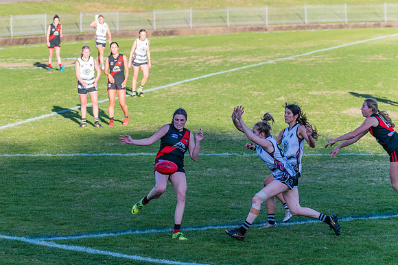 WPD Elimination Final - North Shore v Inner West - 7 August 2022