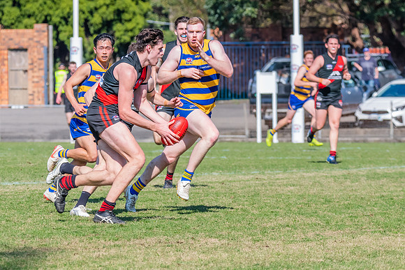 MPD Reserves Major Semi Final - Sydney University v North Shore