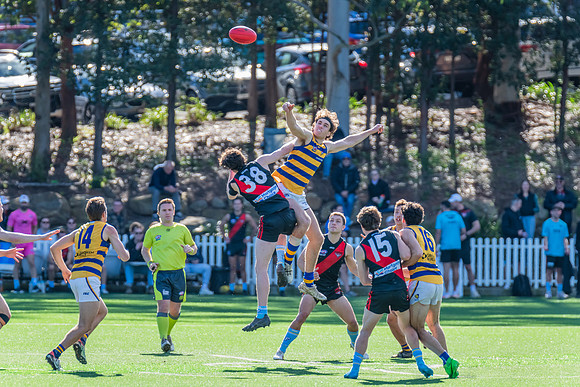 Rd 15 MPD - North Shore v Sydney Uni - 3 August 2024