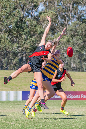 WPD Elimination Final - North Shore v Sydney Uni - 1 September 2