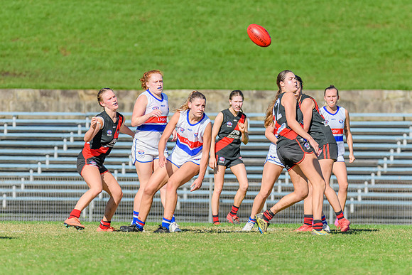 Rd 6 WPD - UNSW ES v North Shore - 14 May 2022