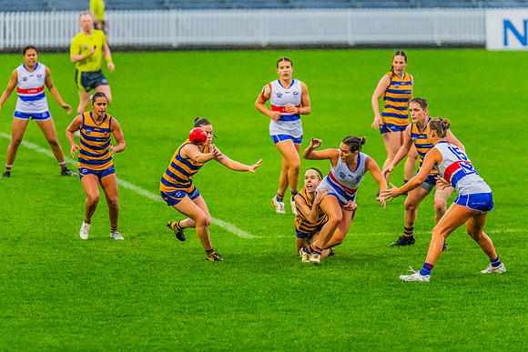 Rd 8 WPD - UNSW-ES v Sydney Uni - 1 June 2024