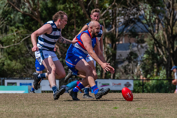 Black Diamond Shield Warners Bay v Muswellbrook - 17 September 2022