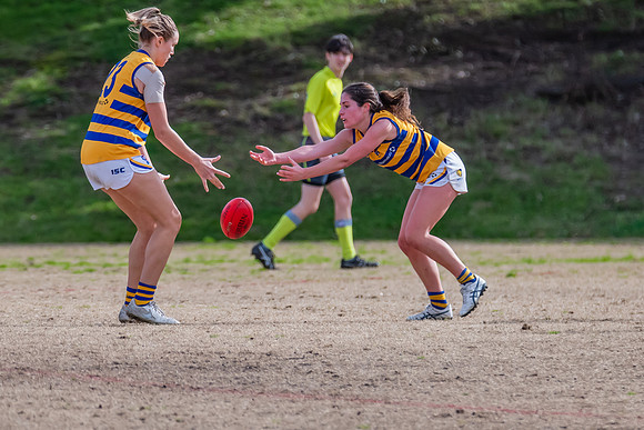 Rd 14 WPD - Pennant Hills v Sydney Uni - 16 July 2022