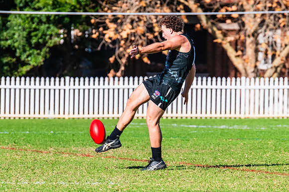 Rd 8 MPD - UTS v SWS - 31 May 2025