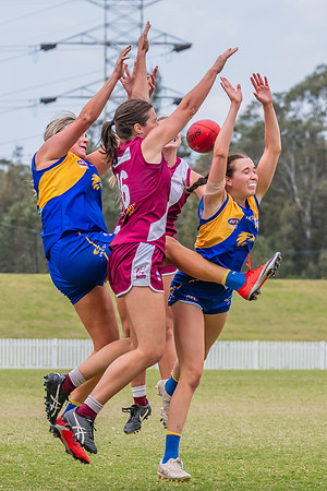 WPD Qualifying Final 2 - East Coast v Manly Warringah - 7 Septem