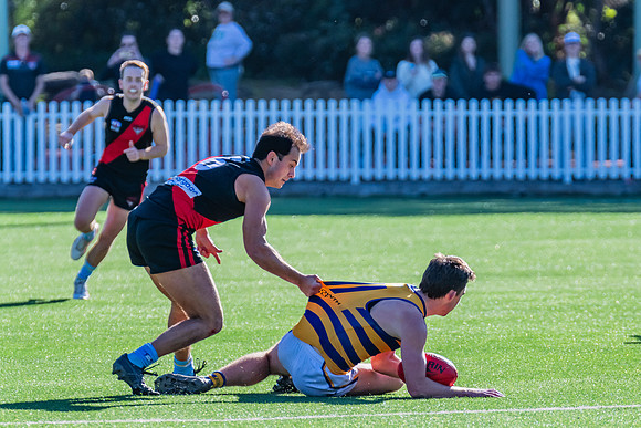 Rd 15 MPD - North Shore v Sydney Uni - 3 August 2024