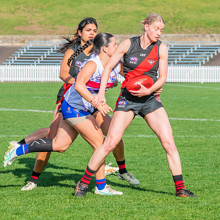 Rd 16 WPD - UNSW-ES v North Shore - 10 August 2024