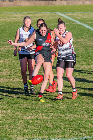 WPD Elimination Final - North Shore v Inner West - 7 August 2022