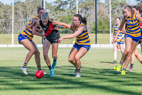 WPD Elimination Final - North Shore v Sydney Uni - 1 September 2