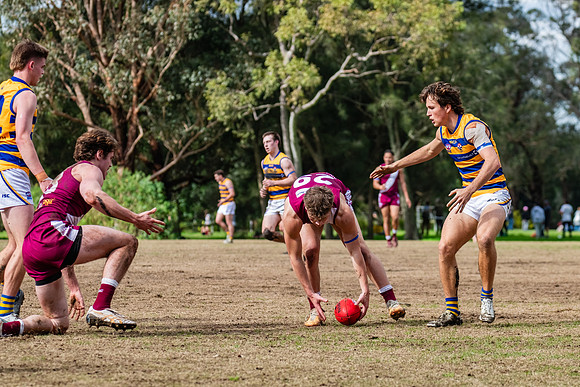 Rd 17 MPD - Manly Warringah v Sydney Uni - 16 August 2025