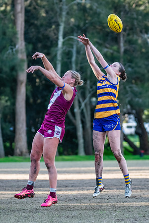 Rd 17 WPD - Manly Warringah v Sydney Uni - 16 August 2025