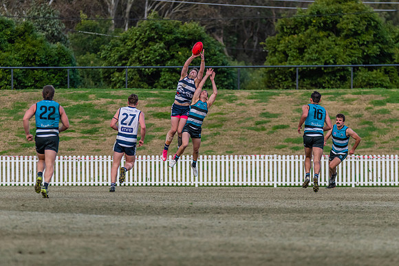 Platinum Div Preliminary Final - Southern Power v Camden Cats -