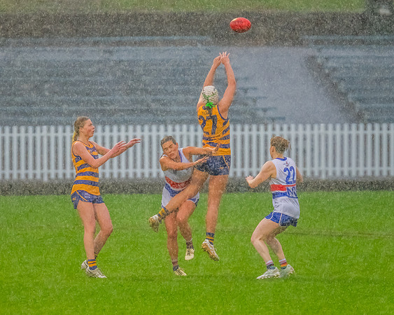 Rd 8 WPD - UNSW-ES v Sydney Uni - 1 June 2024