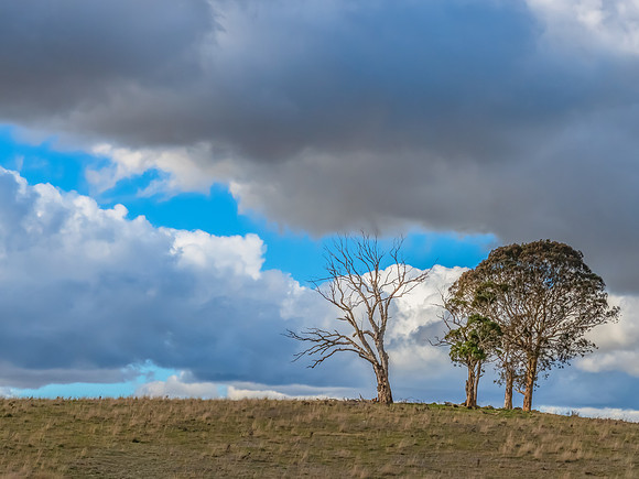 Clouds and a Winter sky over rural land