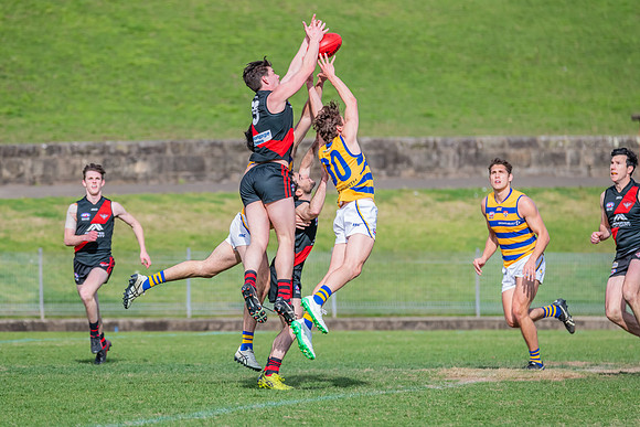 MPD Qualifying Final - North Shore v Sydney University - 20 Augu