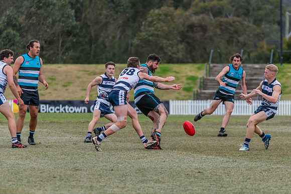 Platinum Div Reserves Preliminary Final - Southern Power v Camde
