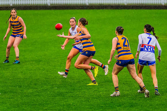 Rd 8 WPD - UNSW-ES v Sydney Uni - 1 June 2024