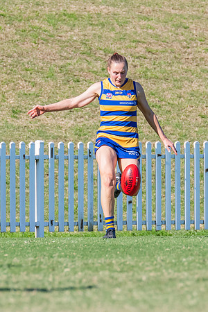 WPD Elimination Final - North Shore v Sydney Uni - 1 September 2