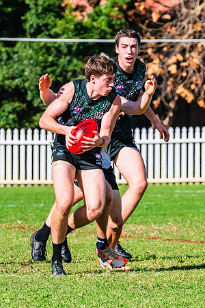 Rd 8 MPD - UTS v SWS - 31 May 2025