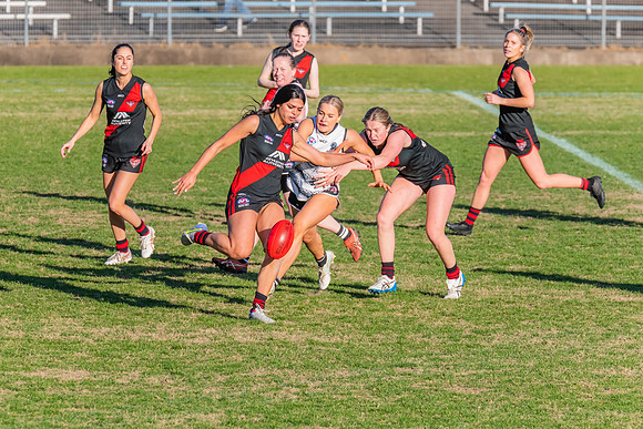 WPD Elimination Final - North Shore v Inner West - 7 August 2022