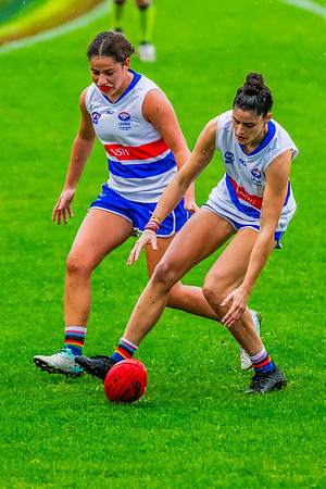 Rd 8 WPD - UNSW-ES v Sydney Uni - 1 June 2024