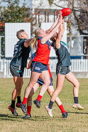Rd 11 WPD - UTS v Pennant Hills - 25 June 2022
