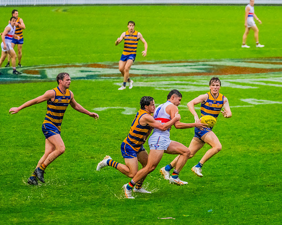 Rd 8 MPD - UNSW-ES v Sydney Uni - 1 June 2024