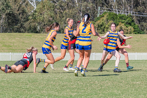 WPD Elimination Final - North Shore v Sydney Uni - 1 September 2