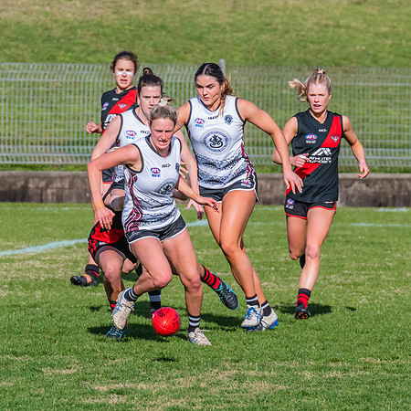 WPD Elimination Final - North Shore v Inner West - 7 August 2022