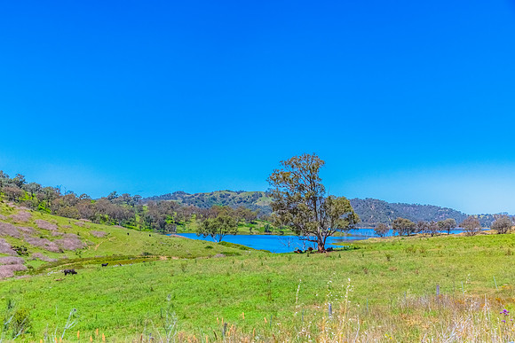 Summertime at Windamere Dam or Lake Windameere in Cudgegong clos