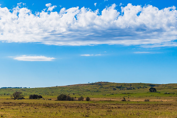 Countryside in Winter around Braidwood