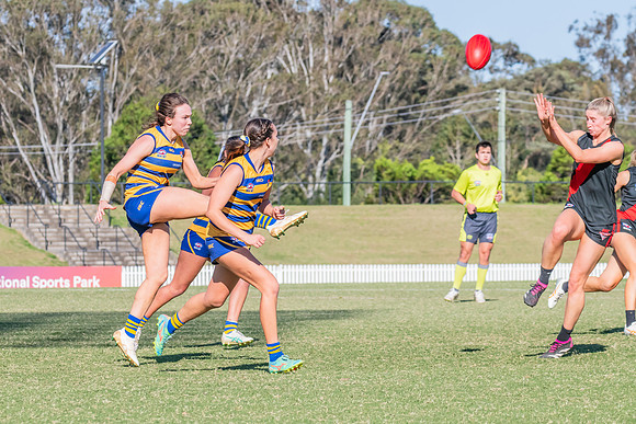 WPD Elimination Final - North Shore v Sydney Uni - 1 September 2