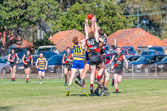 MPD Reserves Major Semi Final - Sydney University v North Shore