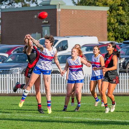 Rd 16 WPD - UNSW-ES v North Shore - 10 August 2024